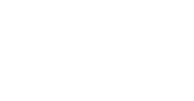 The Law Society Immigration